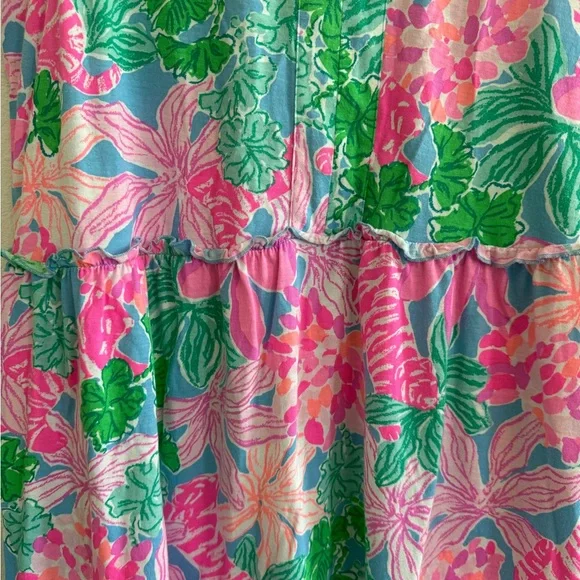 Lilly Pulitzer Lorina Swing Dress - Picture 2 of 5